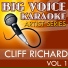 Big Voice Karaoke