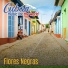 The Romanticos De Cuba Orchestra