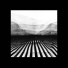 forestman & aiperon presents brothers in spirit