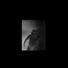 Fran Yera feat. Akelarre, Zoo