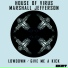 Marshall Jefferson & House Of Virus