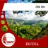 Irvina