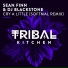 Sean Finn, DJ Blackstone