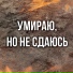 Артём Гришанов Brook Vernade EDLISE Smileque