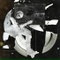 Scenedrone, Blurred Boy