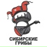 Сибирские Грибы