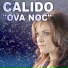 Calido