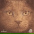 P. Toile