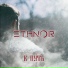 Ethnor