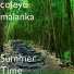 coleyo malanka