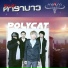 Polycat