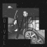 DiVel
