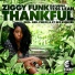 Ziggy Funk, Tess Leah