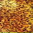 SE