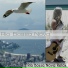 Rio Bossa Nova