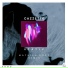 Cazzette