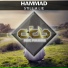 Hammad