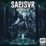 Sapisvr