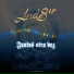 AndeSur