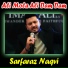 Sarfaraz Naqvi