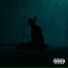 ShadowMoon (feat. Playboy Carti x MZLFF)