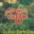 Carlinhos Do Boi