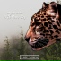 [Kill A Sound - Music] Ayhan Akca