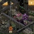 RXM Reality