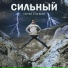 Sergey Stankeev