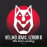 Veljko Jovic, Lobor D