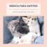 Gatos Especialistas