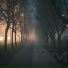 Song hamin