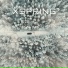 Xspring