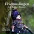 Liv Reidun Hansen feat. Jan Ingvar Toft