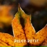 Riley Petit