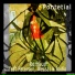 Remlius feat. Weasel, Radio