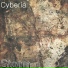 Cyberia