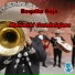Mariachi Guadalajara