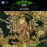 Maurice Ravel