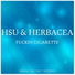 Hsu, Herbacea, The Mnml Robots