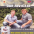 Dar zavicaja