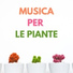 Psiche e Amore