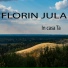 Florin Jula