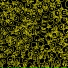 dyLAB