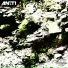 AN:TI