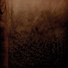 Propha n