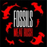 FOSSILS