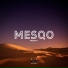 Mesqo