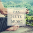 Pan Flute Dreamsound