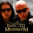 Infected Mushroom